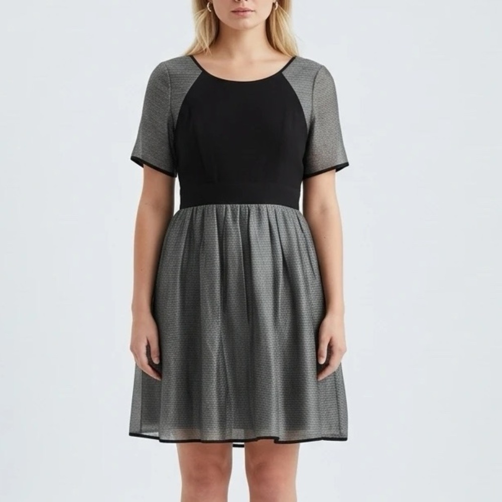 BCBG Black Cocktail Dress